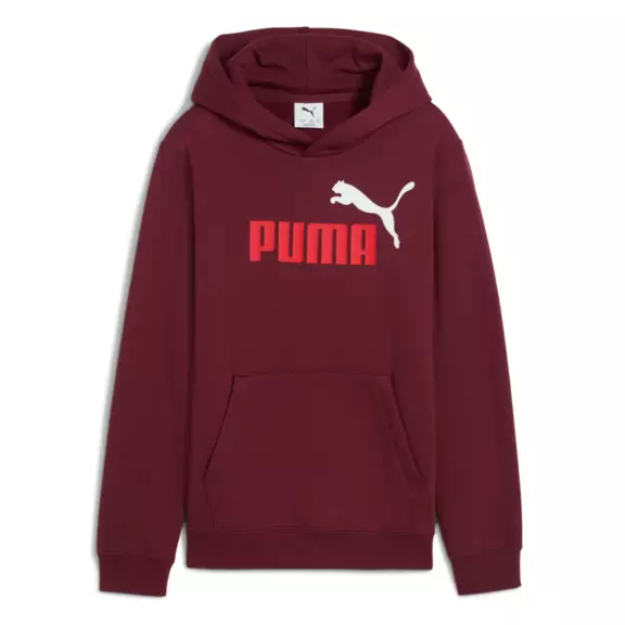 Puma ESS 2 COLOR Logo Hoodie FL "Ruby Shimmer"