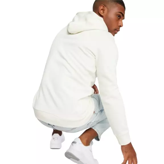 Puma ESS+ Multicolor Hoodie FL "Warm White"