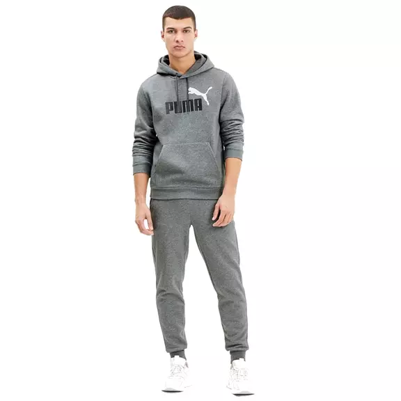 Puma Essentials 2 Col Hoody FL Big Logo