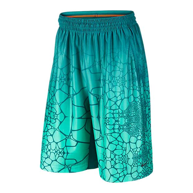 Lebron Short Tamed Allover Print (300/turquesa)