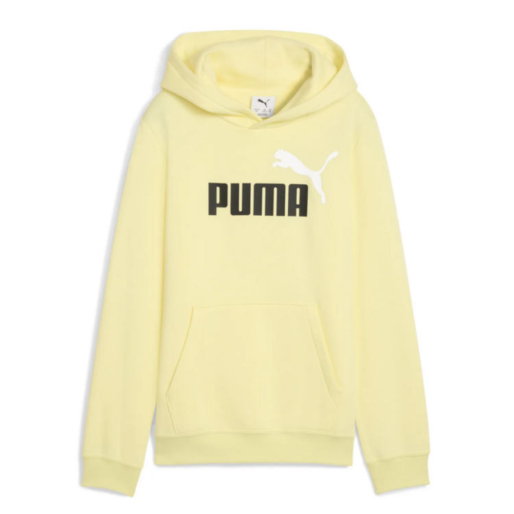 Puma ESS 2 COLOR Logo Hoodie FL "Gold Moon"