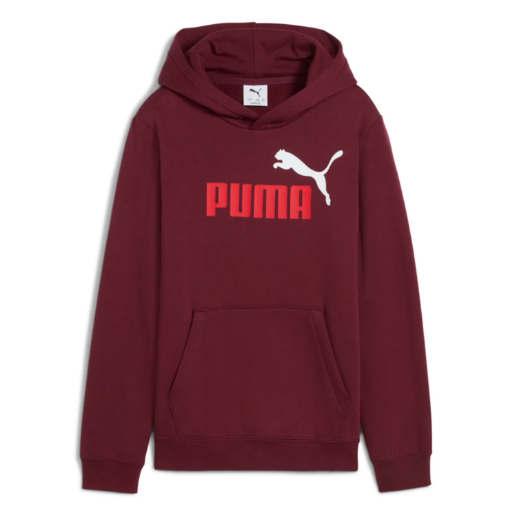 Puma ESS 2 COLOR Logo Hoodie FL "Ruby Shimmer"