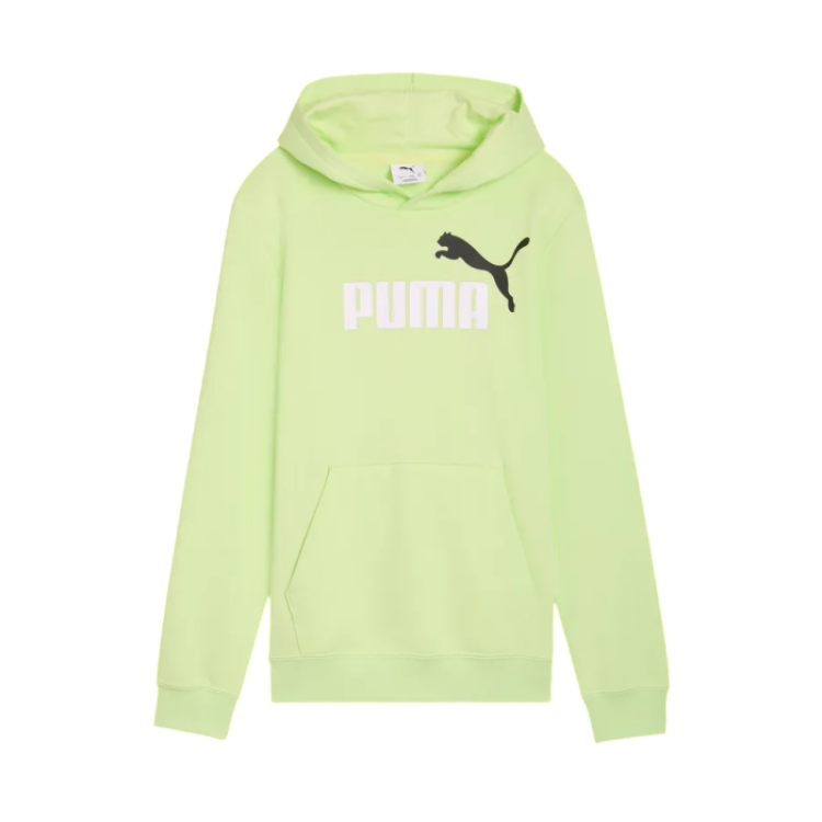 Puma ESS 2 COLOR Logo Hoodie" Apple Spritz"