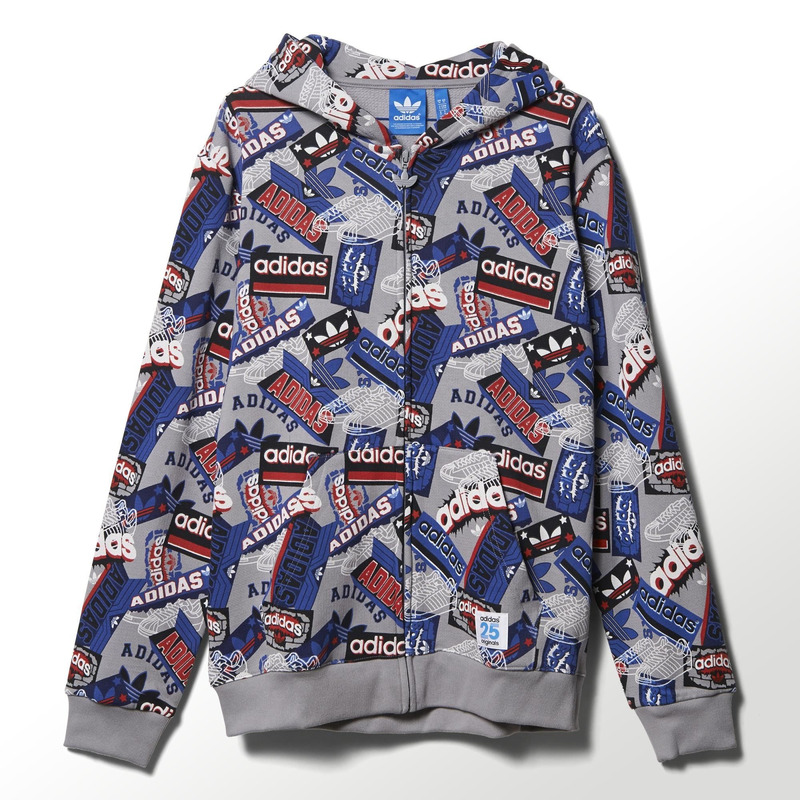 Adidas Originals Sudadera 25 Slam By Nigo gris multicolor