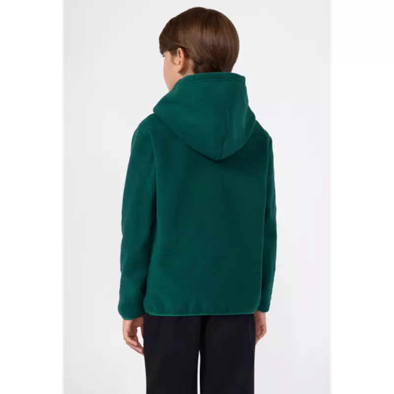 Champion BOYS' FLEECE POLAR HOODIE SCRIPT LOGO FOREST "GREEN"