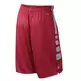 Nike Short Elite Stripe (657/rojo/gris)