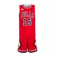 Pack Pau Gasol Chicago Bulls Niño (rojo/blanco/negro)