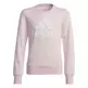 Adidas Girls Essentials Big Logo Sweatshirt