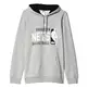 Adidas Graphic Hoodie Nets (nba-bne)