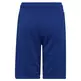 Adidas Junior Big Logo Short "Team Royal"