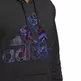 Adidas Basketball Legends CZ Hoodie "Black-Vivid Red"