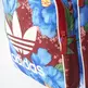 Adidas Originals Farm Classic Back Pack "Chita Oriental" (multicolor)
