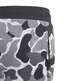 Adidas Originals junior Trefoil Camo Pants (Multicolor/Carbon)