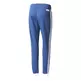 Adidas Originals Regular Track Pant Cuffed NMD (Real Blue/Pearl Opal)