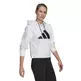 Adidas Sportswear Relaxed Doubleknit Fit Logo Hoodie