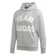 Adidas VRCT Hoodie