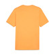 T-shirt Puma GRAPHICS Mountain "Clementine"