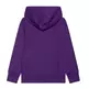 Champion Kids Big Logo Fleece Hoodie "Dark Purple"