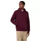 Champion Men’s Fleece Hoodie With Big Embroidered Logo Icons "Burgundy"
