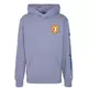 Champion Rochester Future Care Hooded Sweatshirt "Blue Steel"