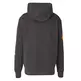 Champion Rochester Future Care Hooded Sweatshirt "Lead Gray"