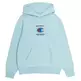 Champion Rochester Future Care Hooded Sweatshirt "Pale Turquoise"