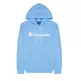 Champion Script Logo Heavy Cotton Blend Hoodie