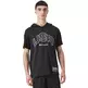 Champion Sport Lifestyle Basketball USA Logo Comfort Fit T-Shirt Hooded "Black"