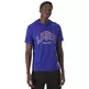 Champion Sport Lifestyle Basketball USA Logo Comfort Fit T-Shirt Hooded "Nautical Blue"