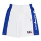 Champion Sport Lifestyle Basketball USA Logo Mesh Shorts "White"