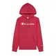 Champion Wn´s Legacy Script Logo Print Cotton Terry Hoodie "Burgundy Red"