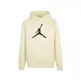 Jordan Kids Jumpman Logo Sustainable Hoodie "Legend Arena"