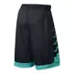 LeBron Driven Short (011/negro/esmeralda)