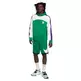 Nike Basketball Therma-FIT Starting 5 Pullover Hoodie "Malachite Green"