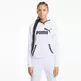 Puma Amplified Hoodie TR
