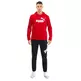 Puma Amplified Hoody TR