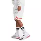 Puma Basketball Franchise Woven Short "Vaporus Gray"