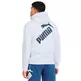 Puma Big Logo FZ Hoody TR