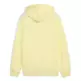 Puma ESS 2 COLOR Logo Hoodie FL "Gold Moon"