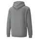 Puma Essentials 2 Col Hoody FL Big Logo