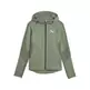 Puma EVOSTRIPE Full-Zip Hoodie "Eucalyptus"