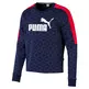 Puma Logo AOP Pack Crew FL