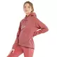 Puma Moto Pullover Hoodie