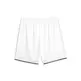 Short Basket Puma Hoops Team "White"