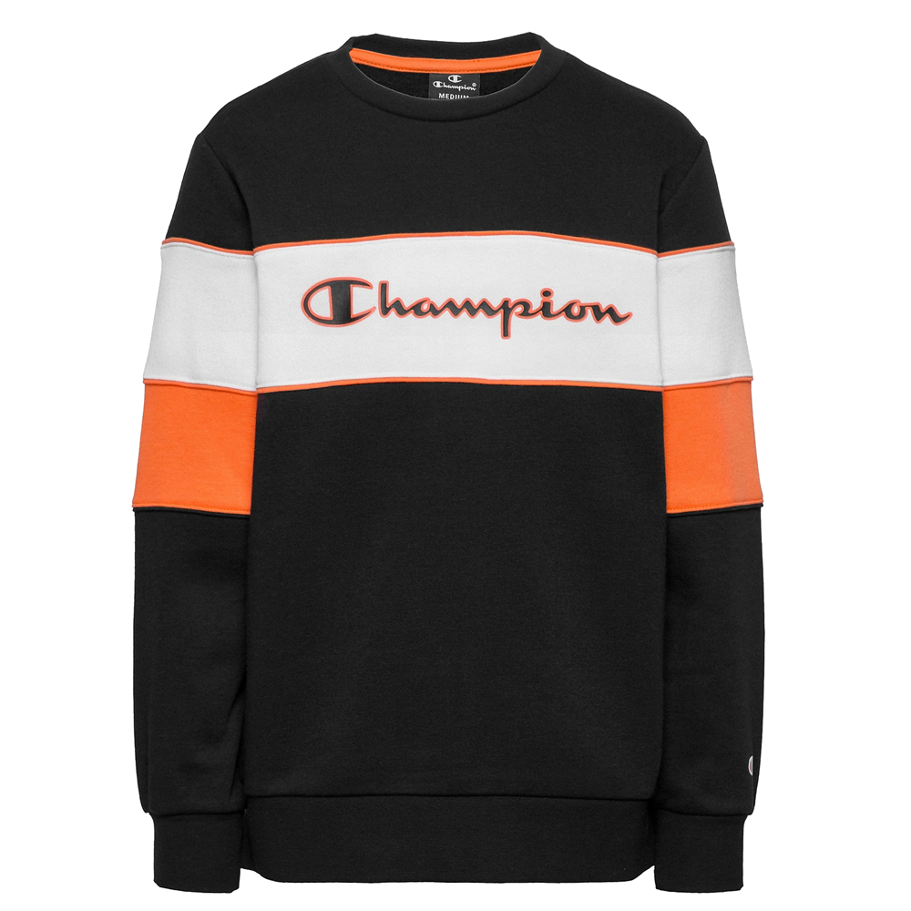 Champion Kids Classic Modular Blocking Color Crewneck