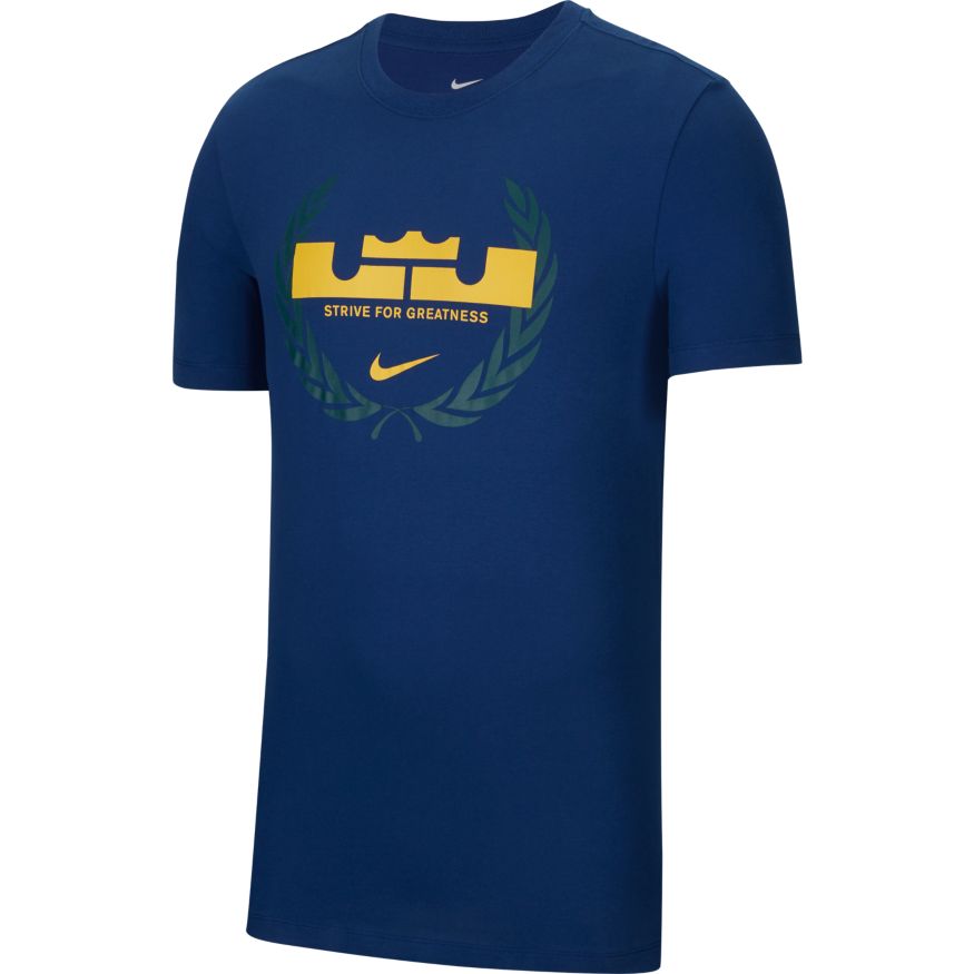 nike dri fit lebron shirt